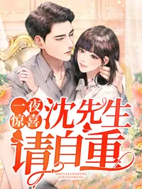《叶若初》小说封面