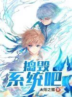 《捣毁系统吧》小说封面