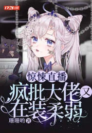 《惊悚直播：疯批大佬又在装柔弱》小说封面