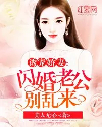 《秦风柳红颜》小说封面