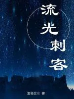 《流光刺客》小说封面