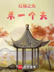 《红楼之先杀一个夫》小说封面