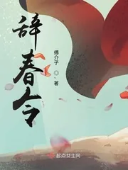 《辞春令》小说封面
