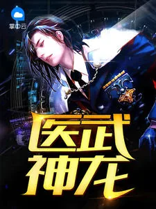 《龙飞王晓楠》小说封面