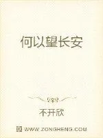 《何以望长安》小说封面
