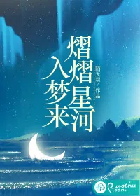 《熠熠星河入梦来》小说封面