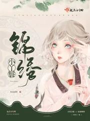 《锦绣小丫鬟》小说封面