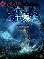 《在流星殒落中深吻》小说封面