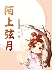 《陌上弦月》小说封面
