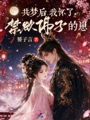 《共梦后，我怀了禁欲佛子的崽》小说封面