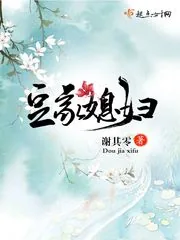 《豆家媳妇》小说封面