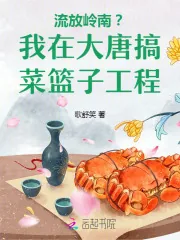 《流放岭南？我在大唐搞菜篮子工程》小说封面