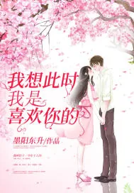 《我想此时我是喜欢你的》小说封面