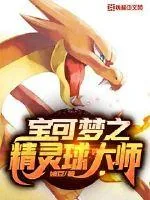《宝可梦之精灵球大师》小说封面