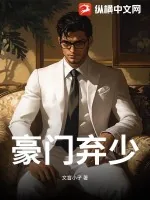 《豪门弃少!》小说封面
