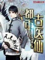 《叶不凡唐飞雪》小说封面