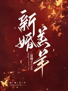 《新婚羔羊》小说封面