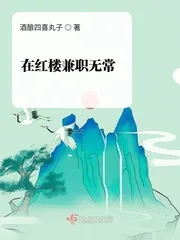 《在红楼惩恶扬善》小说封面