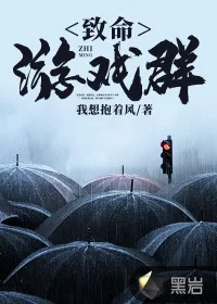 《致命游戏群》小说封面