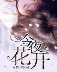 《彭峰》小说封面