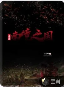 《迷途;南境之国》小说封面