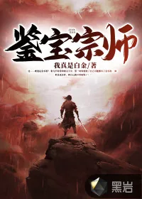 《鉴宝宗师》小说封面