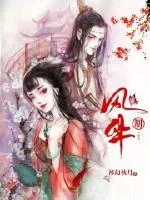 《风华册》小说封面