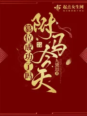 《驸马今天篡位成功了吗》小说封面