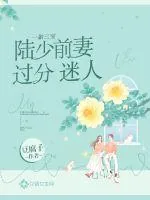 《一胎三宝：陆少前妻过分迷人》小说封面