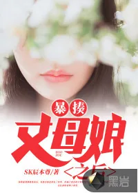 《暴揍丈母娘之后》小说封面