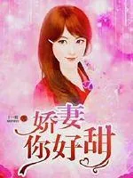 《娇妻你好甜》小说封面