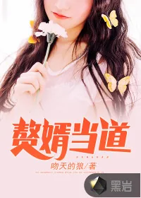 《<<岳风>>》小说封面