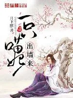 《一只喵妃出墙来》小说封面