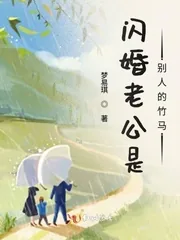 《闪婚老公是别人的竹马》小说封面