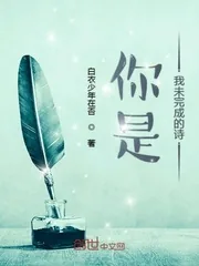《你是我未完成的诗》小说封面
