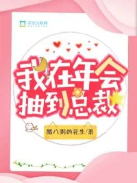 《我在年会抽到总裁》小说封面