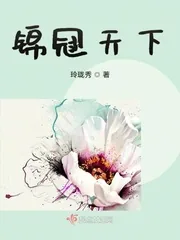 《锦冠天下》小说封面