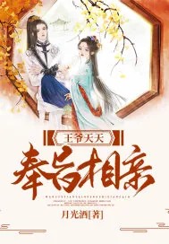 《王爷天天奉旨相亲》小说封面
