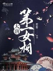《大唐第一女相》小说封面