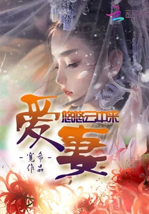 《爱妻悠悠云中来》小说封面