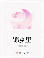 《锦乡里》小说封面