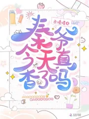《秦爷今天真香了吗》小说封面