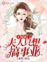《不嫁豪门：夫人只想搞事业》小说封面