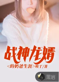 《战神龙婿的奶爸生涯》小说封面