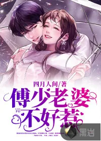 《傅少老婆不好惹》小说封面