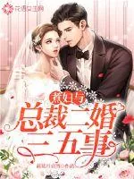 《煮妇与总裁二婚三五事》小说封面