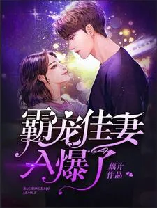 《霸宠佳妻A爆了》小说封面