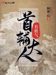 《首辅大人有妖气》小说封面