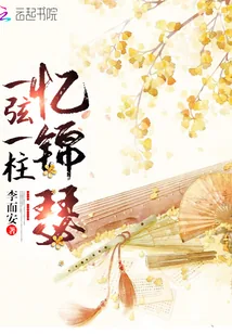 《一弦一柱忆锦瑟》小说封面
