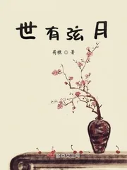 《世有弦月》小说封面